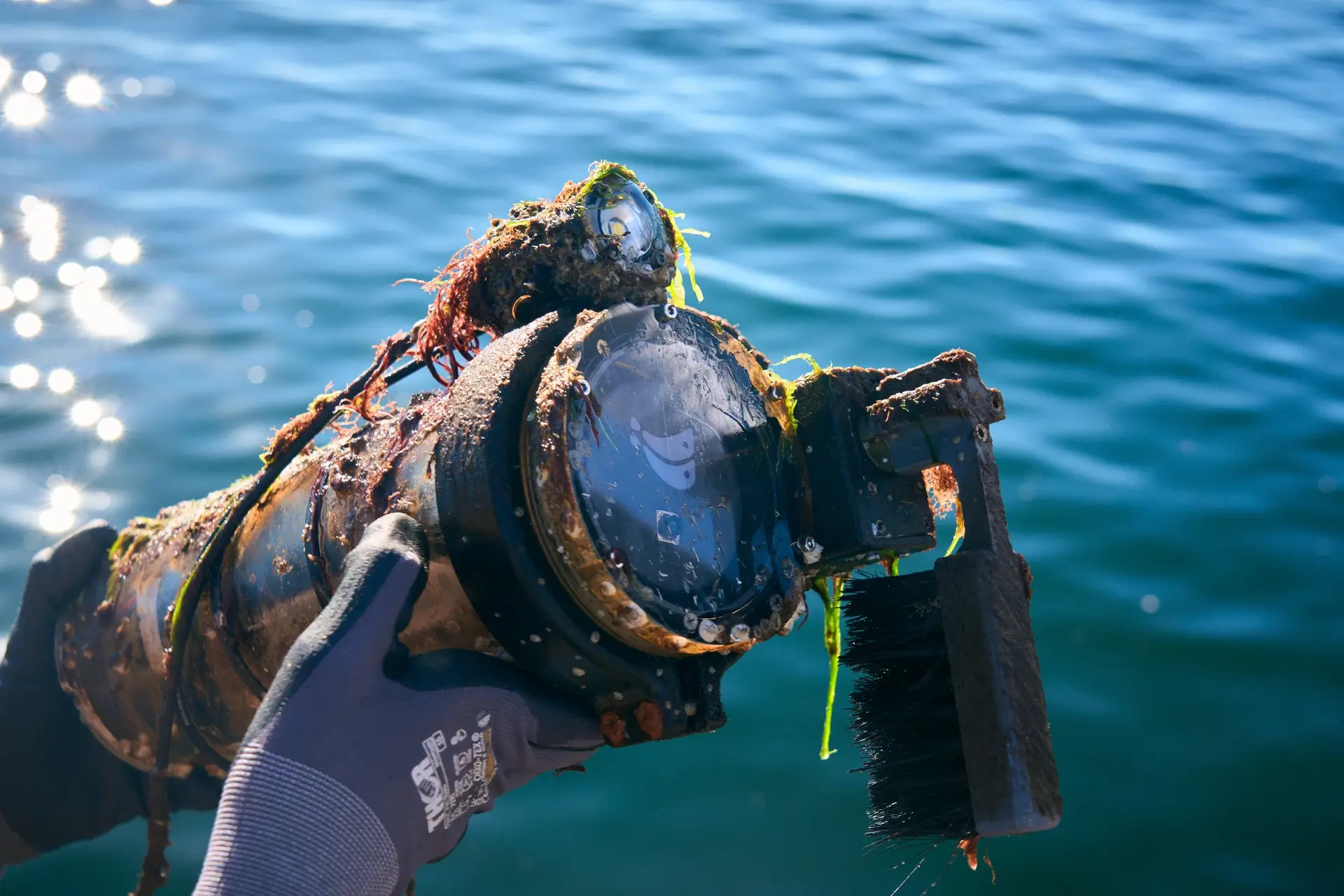 A biofouled AnemoCam underwater camera with attached wiper is held above the water after long-term deployment.