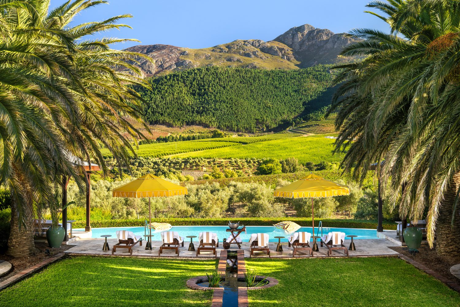 A vineyard-estate pool with yellow umbrellas beneath Franschhoek's peaks