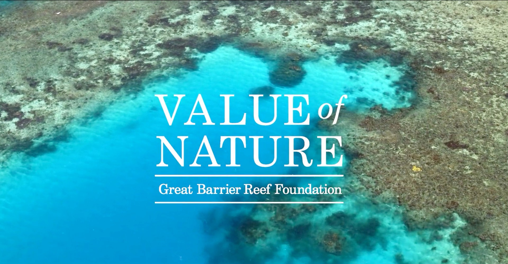 Thumbnail image representing the project.
