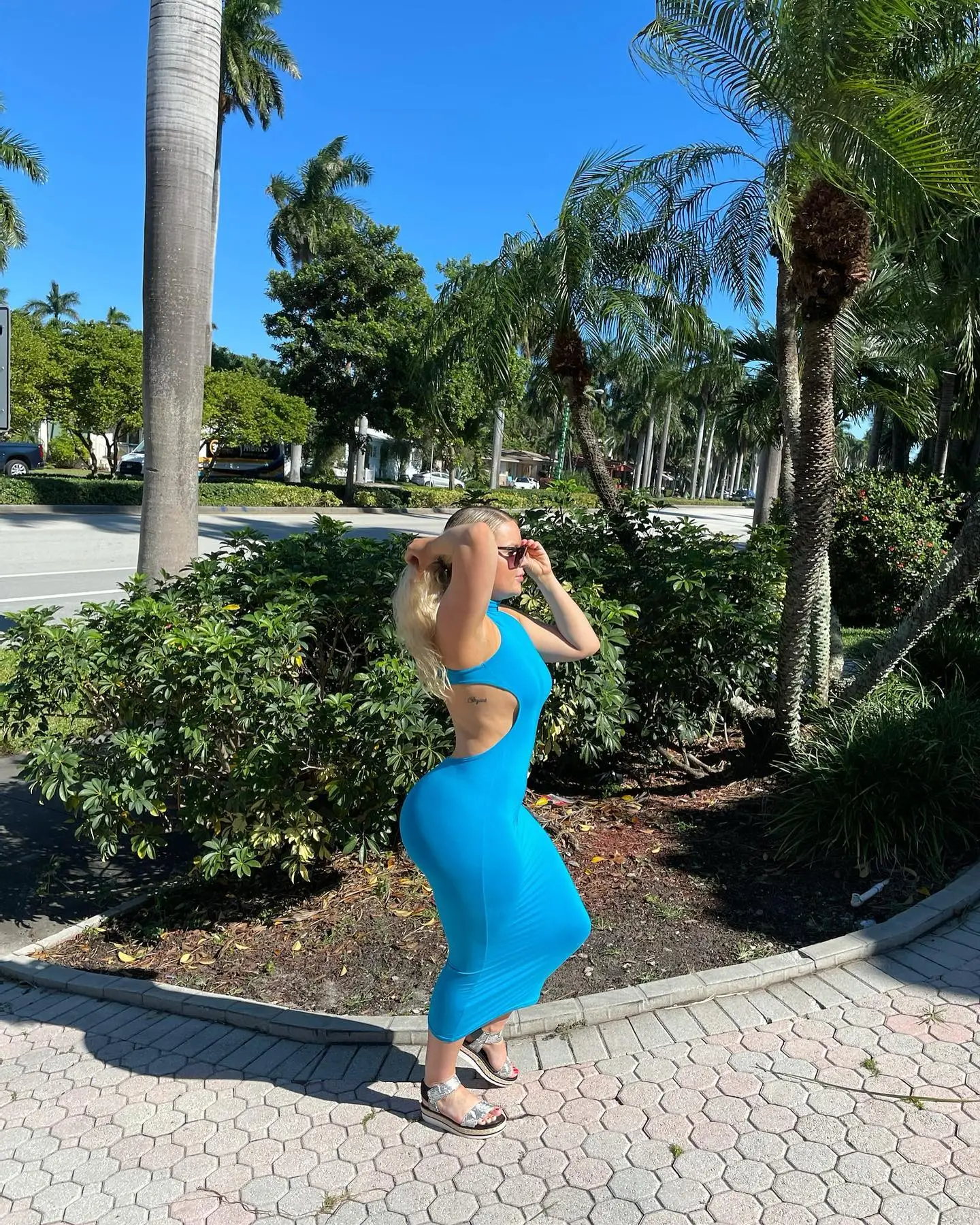 Golden field with two horned animals partially blocking the bright sunset in the distance