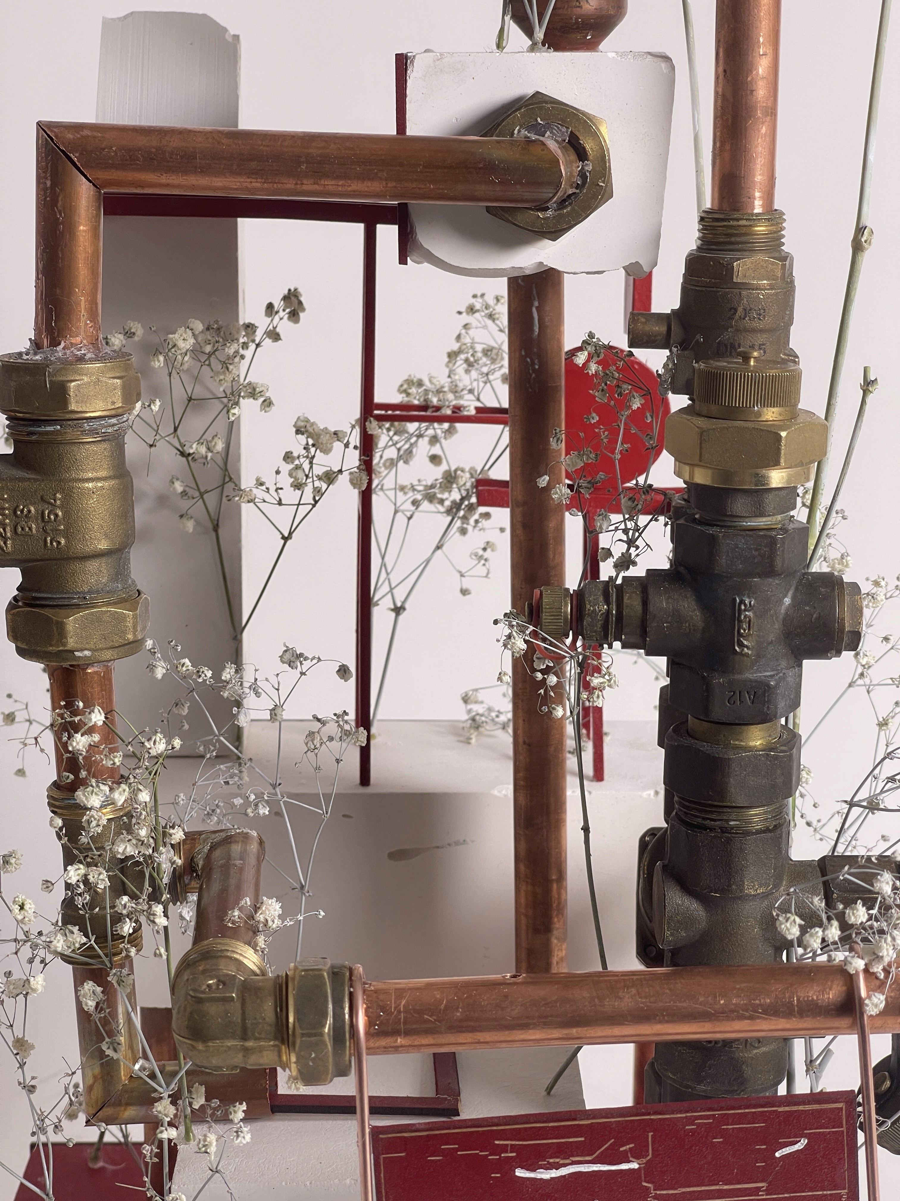 Woman Look Into The Camera