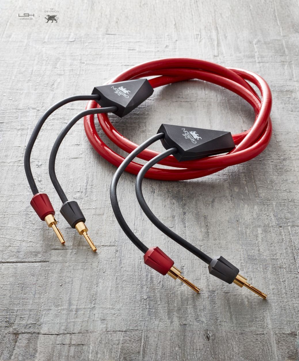 Gryphon Audio ROSSO HP - Overview