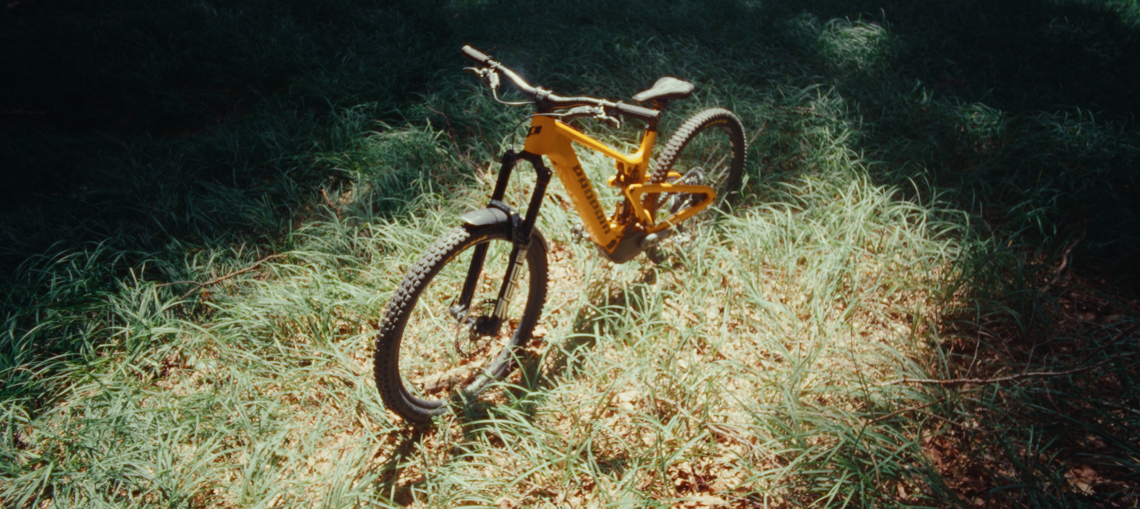 Propain Ekano 2 CF in einem Wald bei Ravensburg