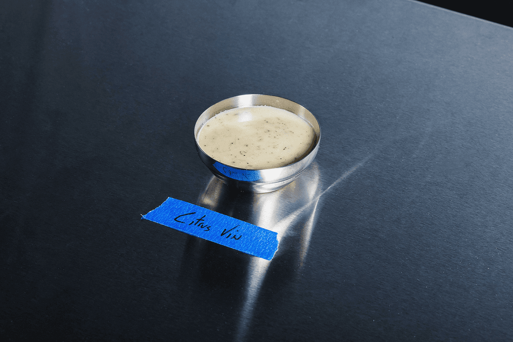 Citrus Vinaigrette