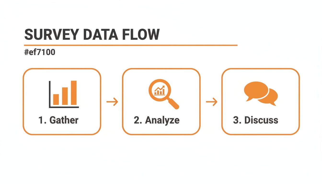 A three-step diagram illustrates the survey data flow process: Gather, Analyze, and Discuss.
