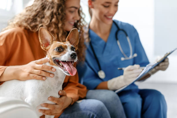 A veterinarian discussing pre-surgical information with a pet owner for her dog's spaying surgery