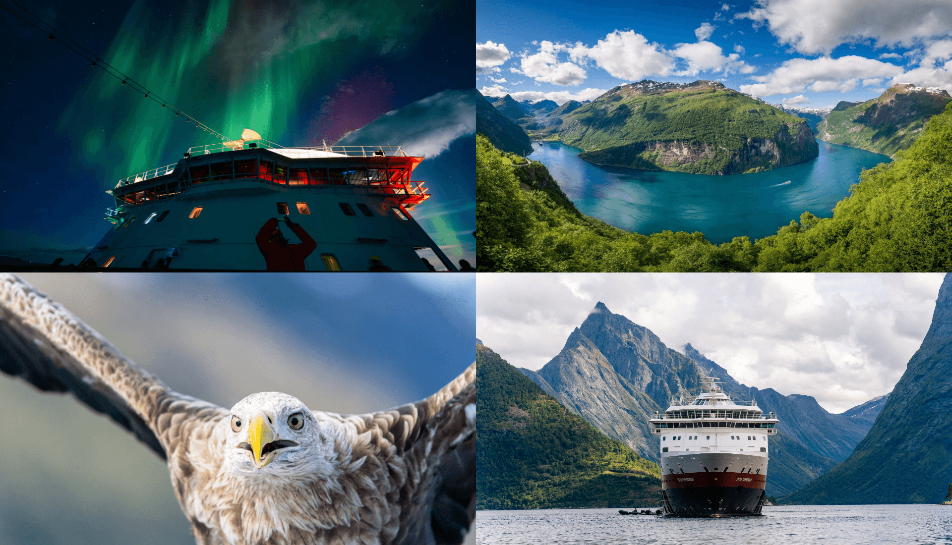 Real Estate Property image 4