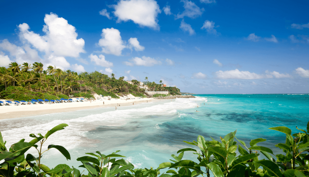 Real Estate Property image 1