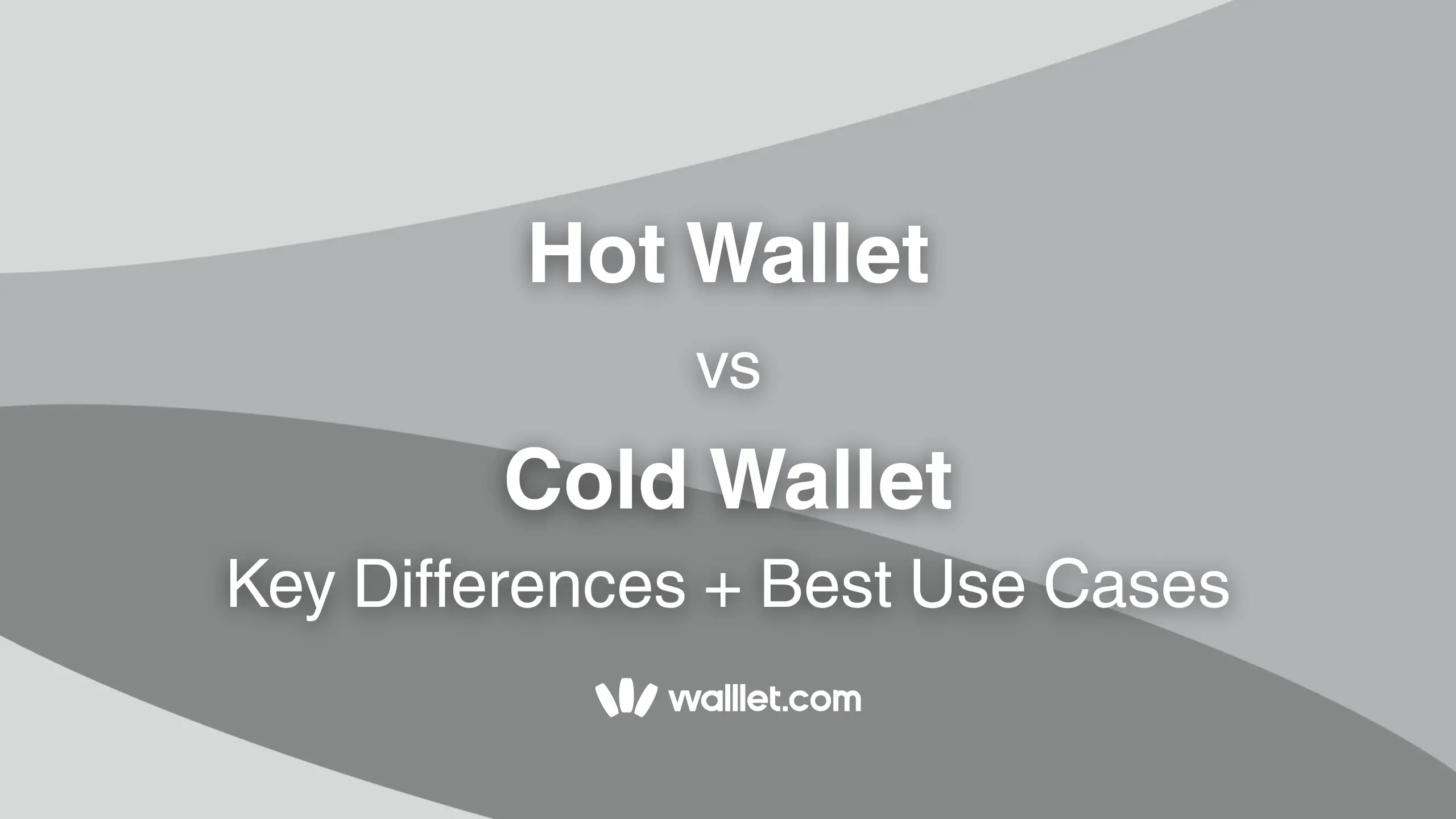 Hot Wallet vs Cold Wallet Explained Key Differences + Best Use Cases