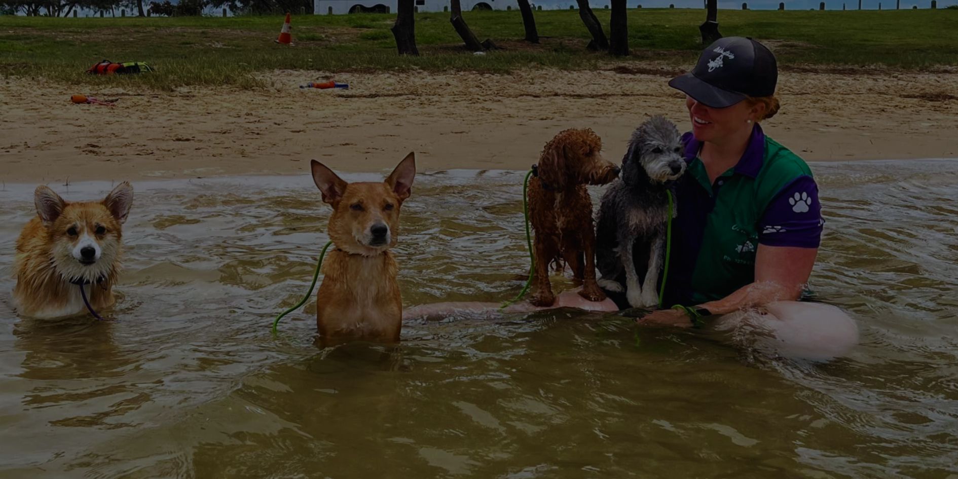 Hero image of beauty products