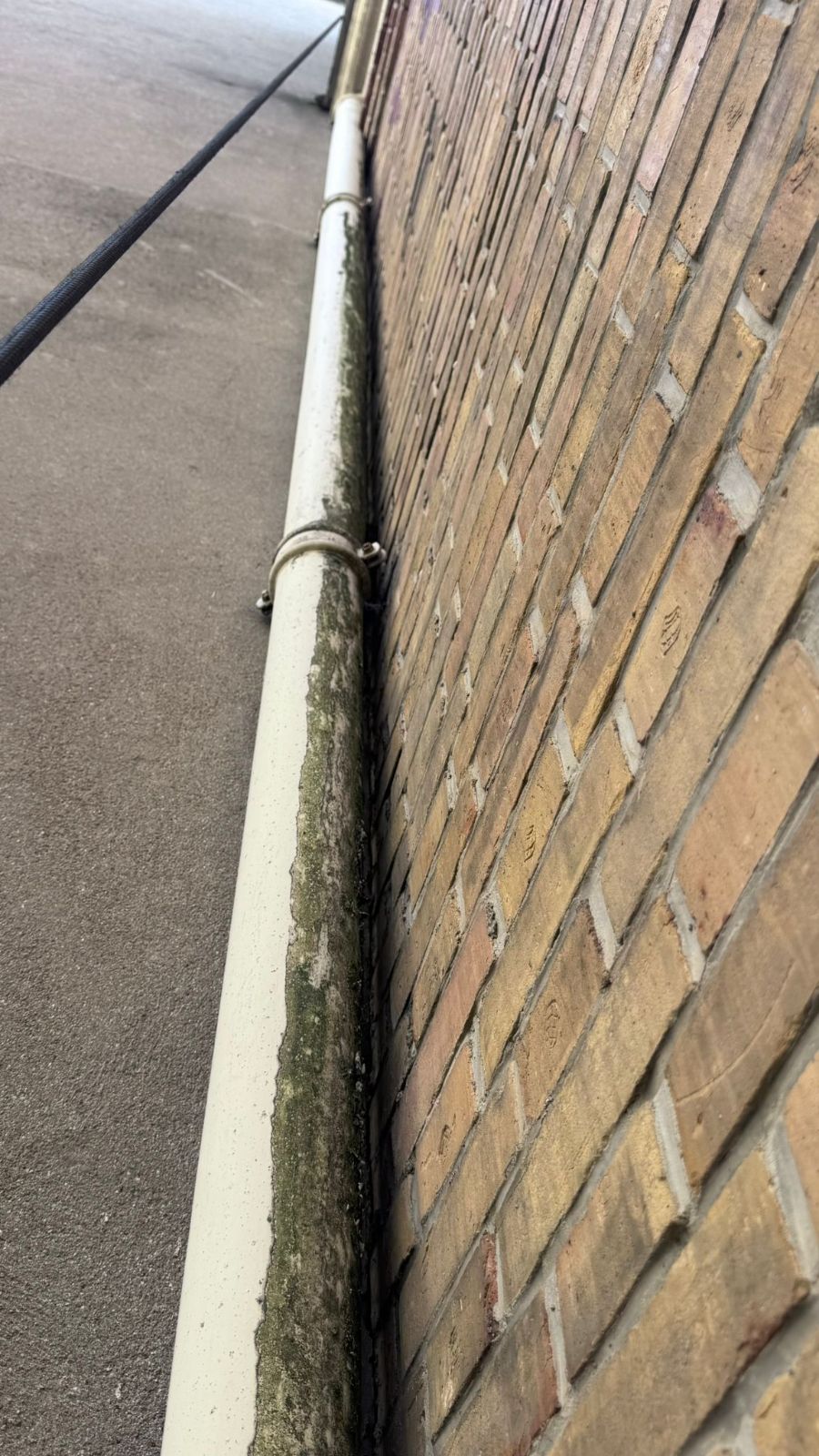 Descente d'eaux pluviales côté cour le long d'un mur en briques, traces de ruissellement sombres sur sa longueur, intervention Roofnow rue de Buci à Paris 6e