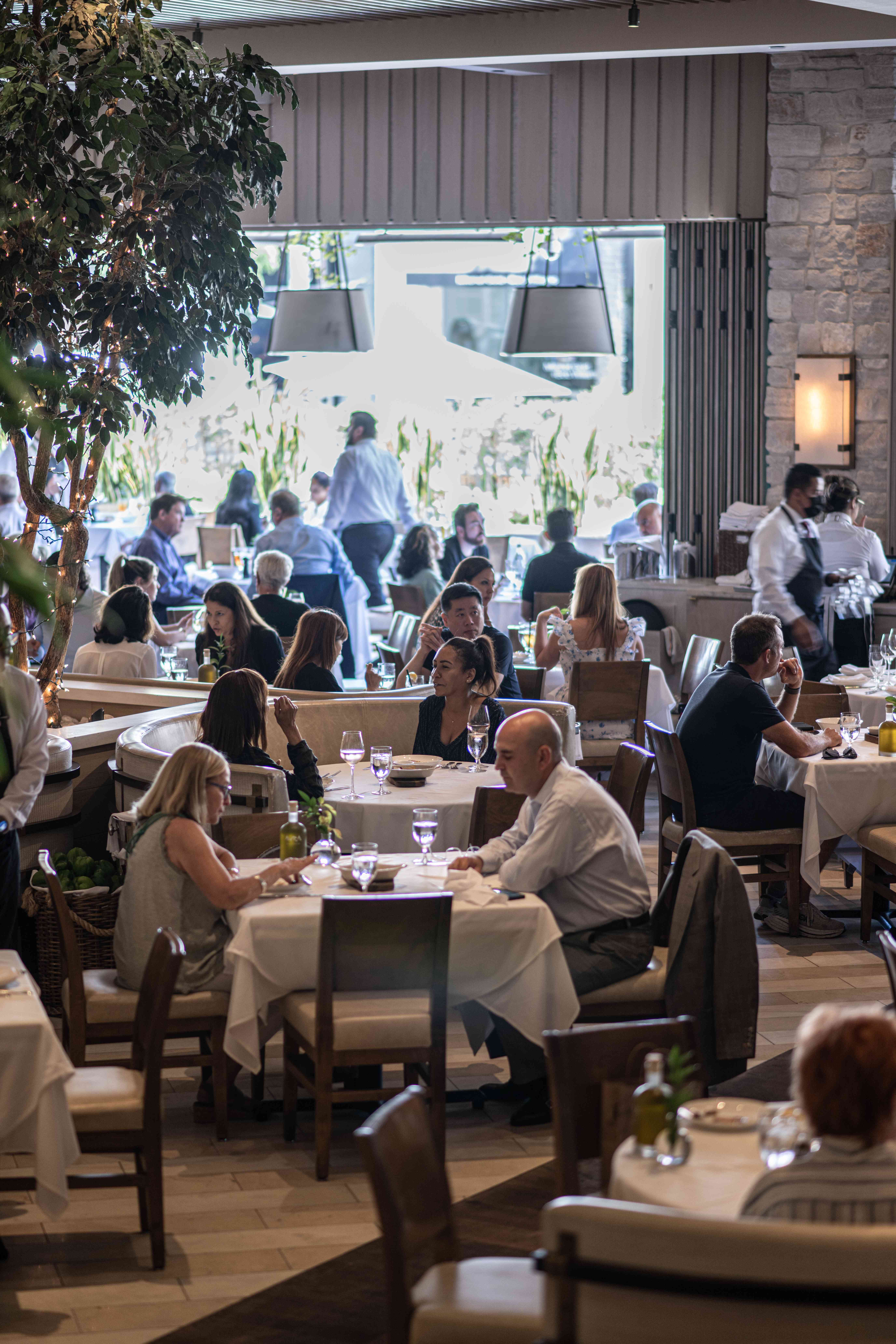 A busy indoor restaurant filled with diners at tables, with a backdrop of greenery and soft lighting.