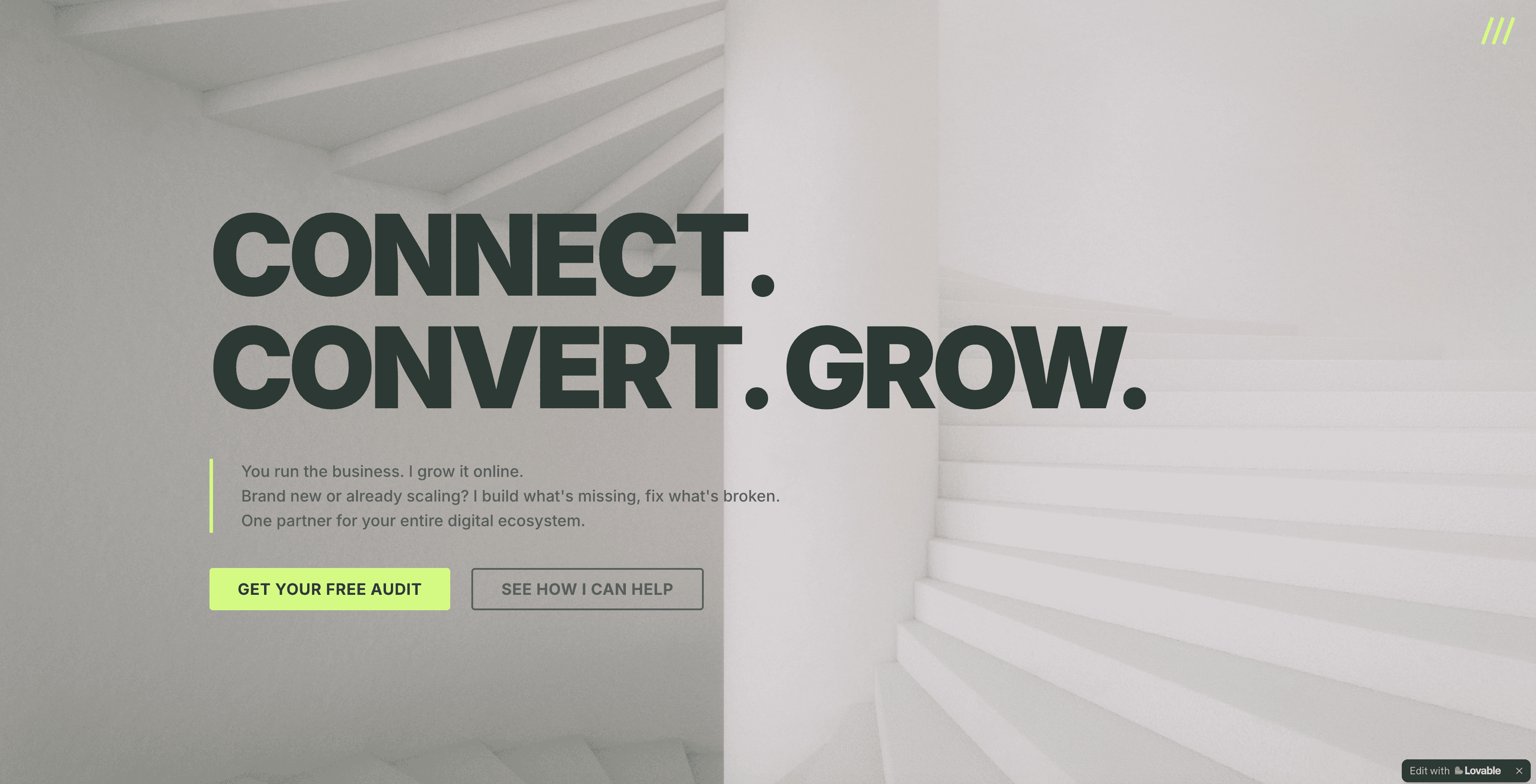 Zest Your Business website built on Lovable