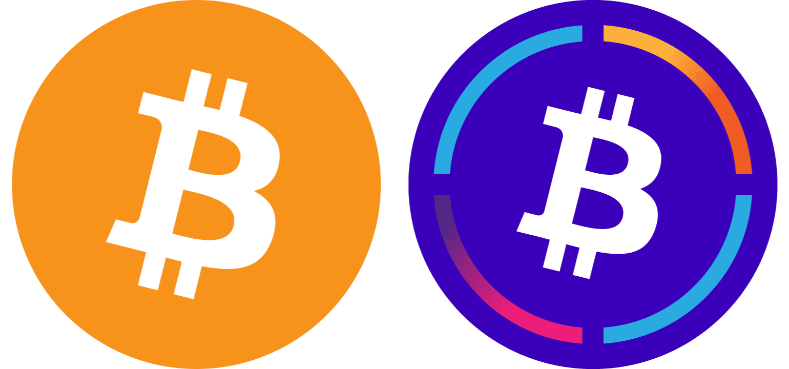 Internet Computer Netrwork - Crypto Cloud