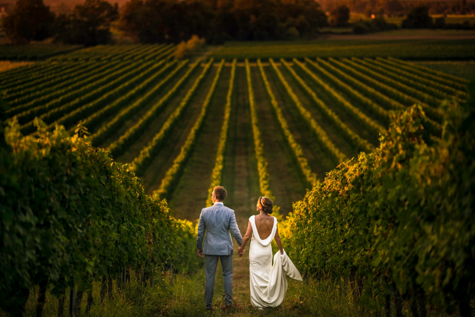 A couple walk hand in hand down a row of vines at dusk