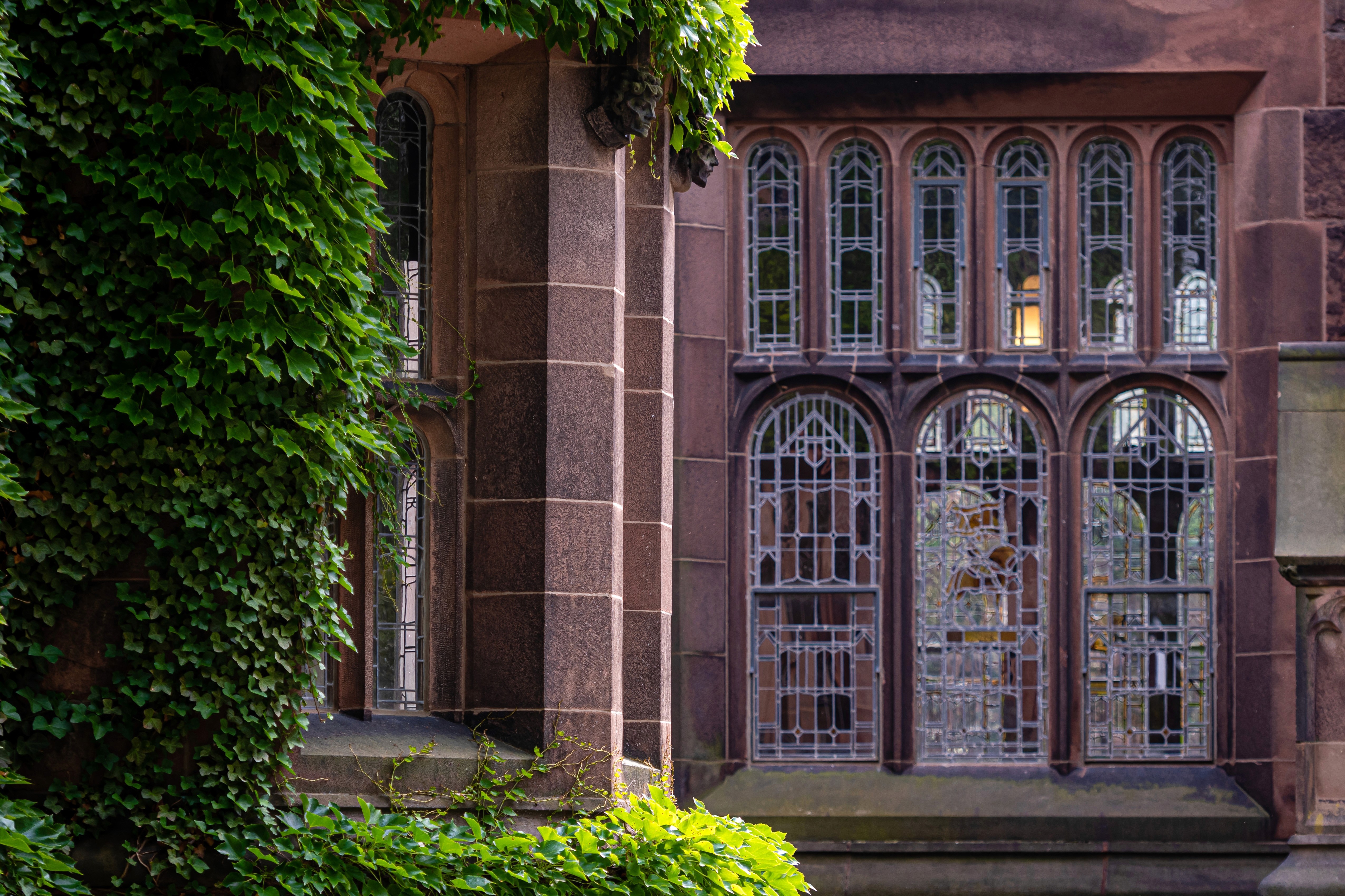 a woman kneeling on the beach with a dog