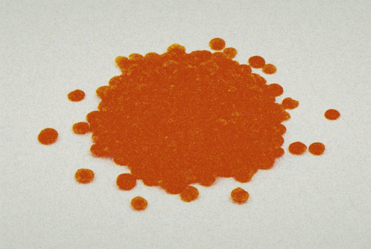 Red Lentils