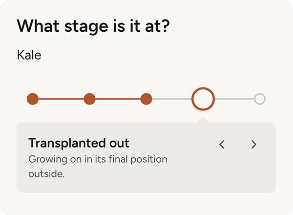 Kale growth stage information in the app