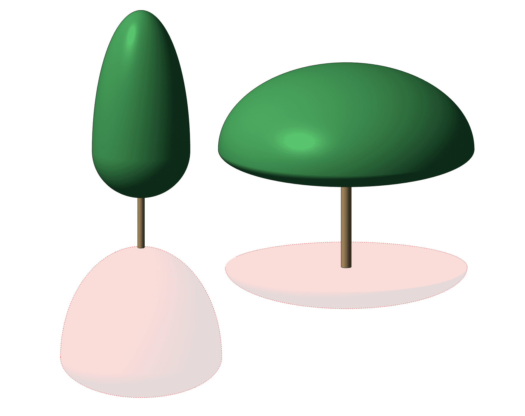 Critical root system in 3D view.