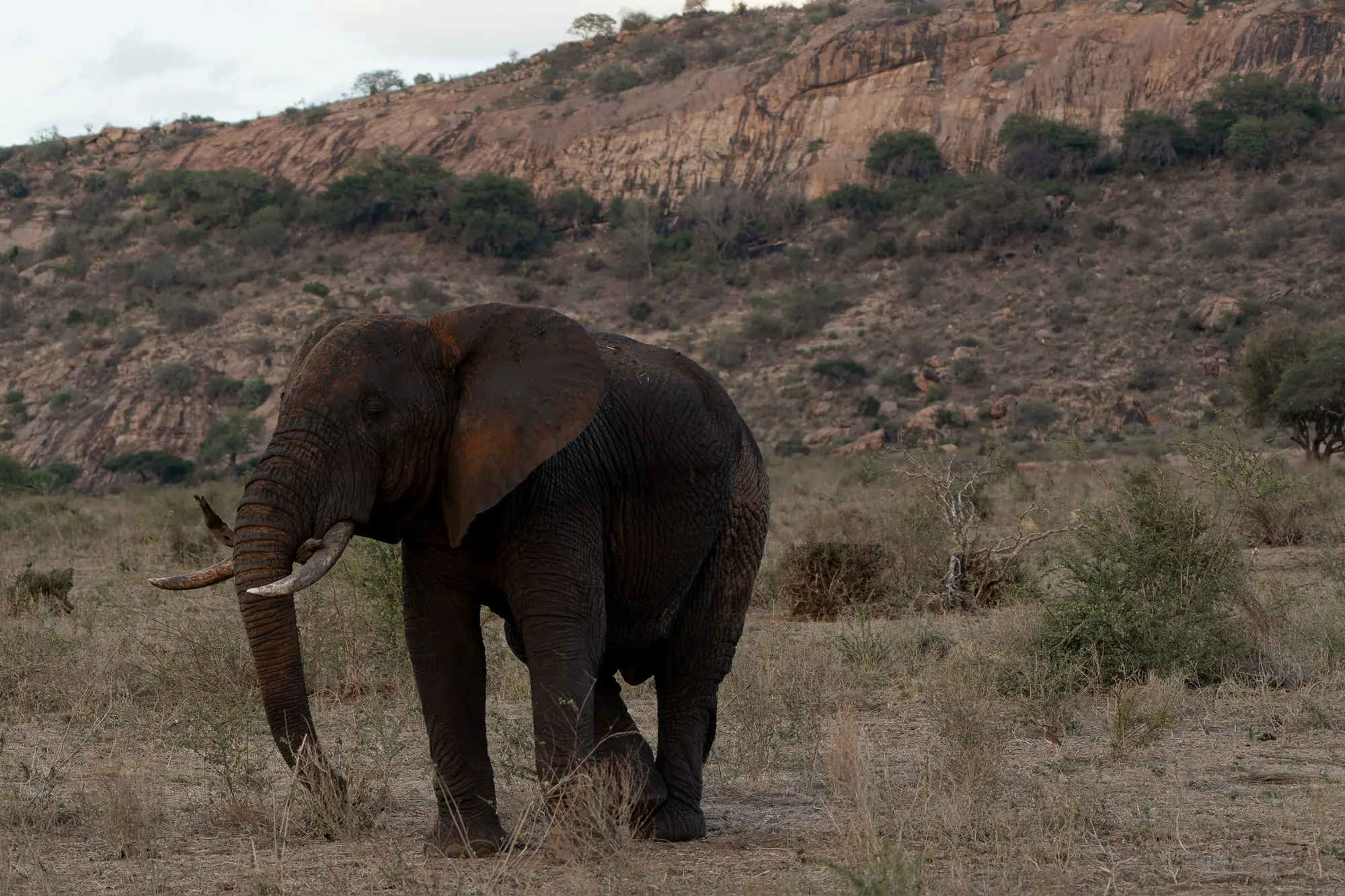 Usahili Tour in Kenya