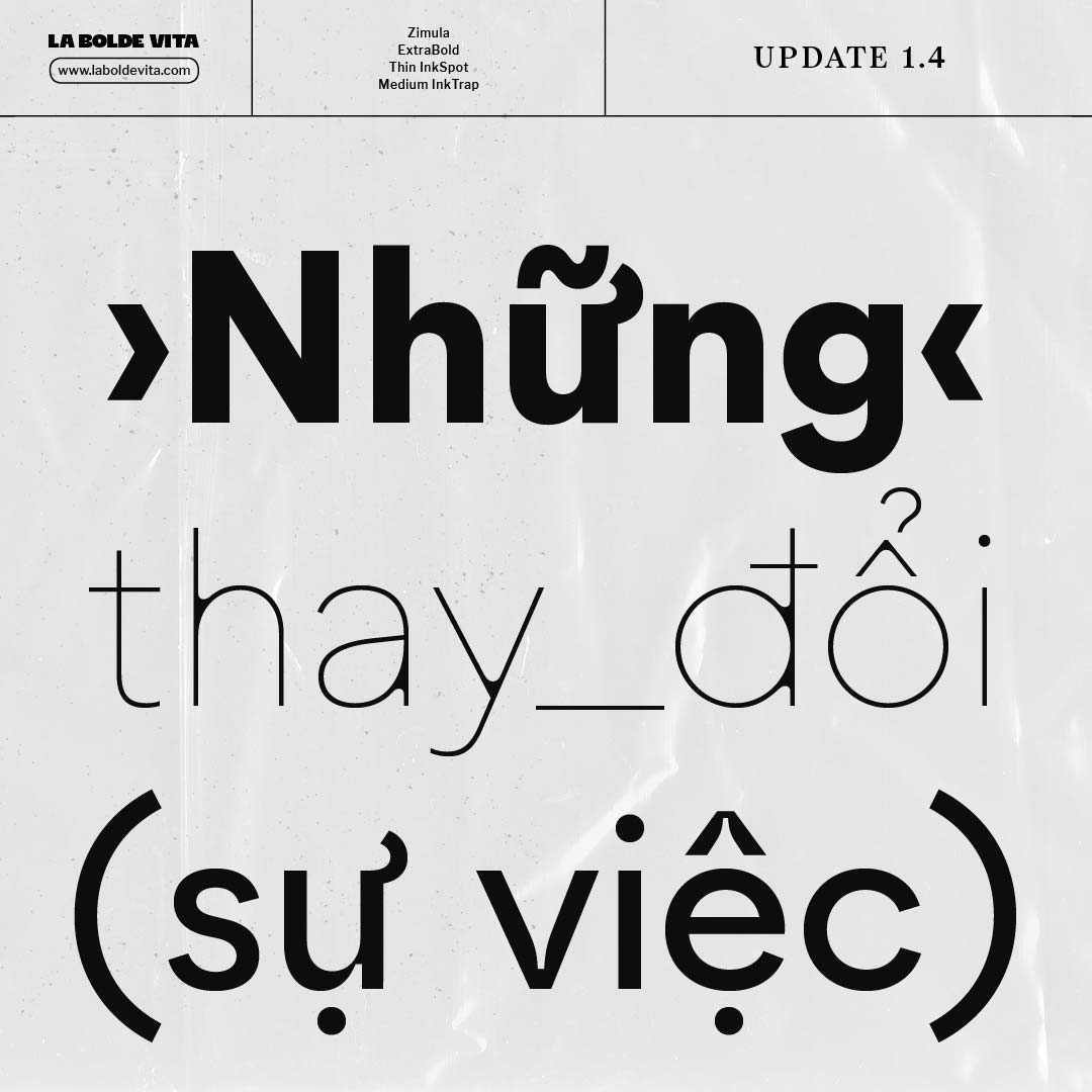 three lines of sample words in vietnamese from the update 1.4 for Zimula