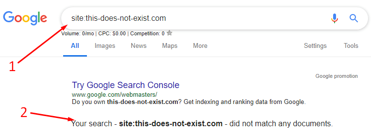 11 Things to Do If Your Website Isn't Showing in Google