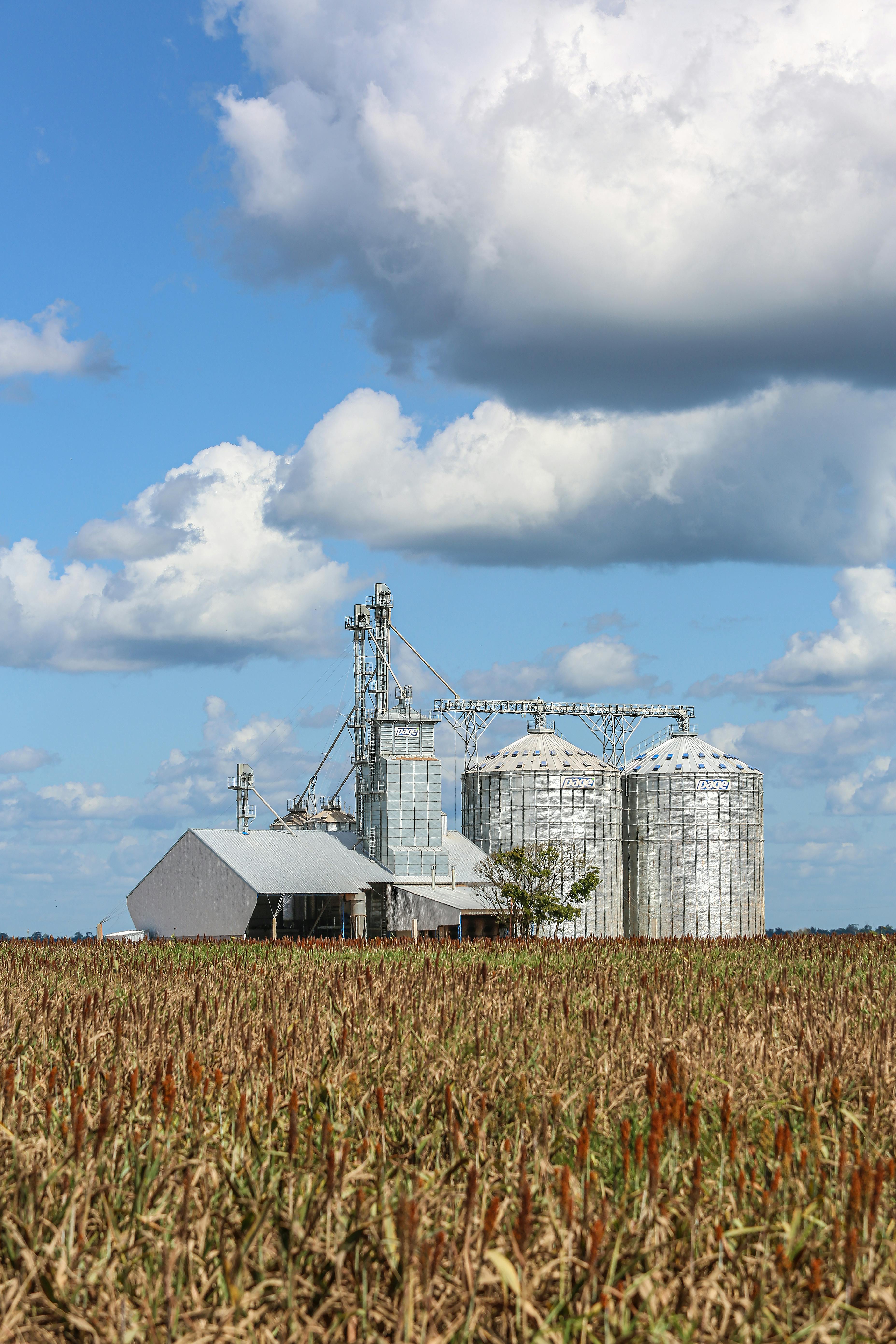 A modern house with large windows and a flat roof, surrounded by greenery against a clear blue sky.
