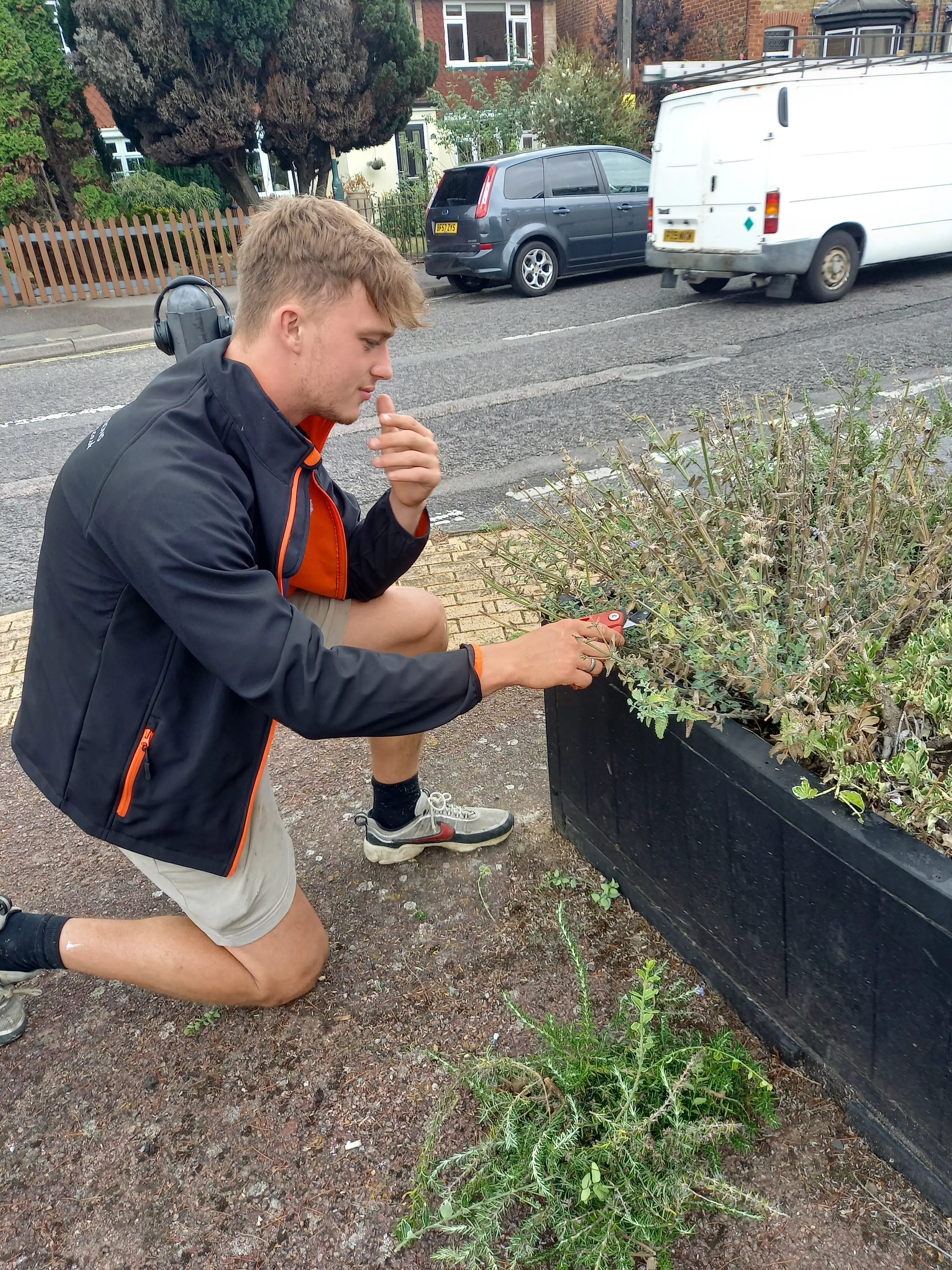 A person kneels by a garden bed, inspecting plants while wearing a jacket and shorts.