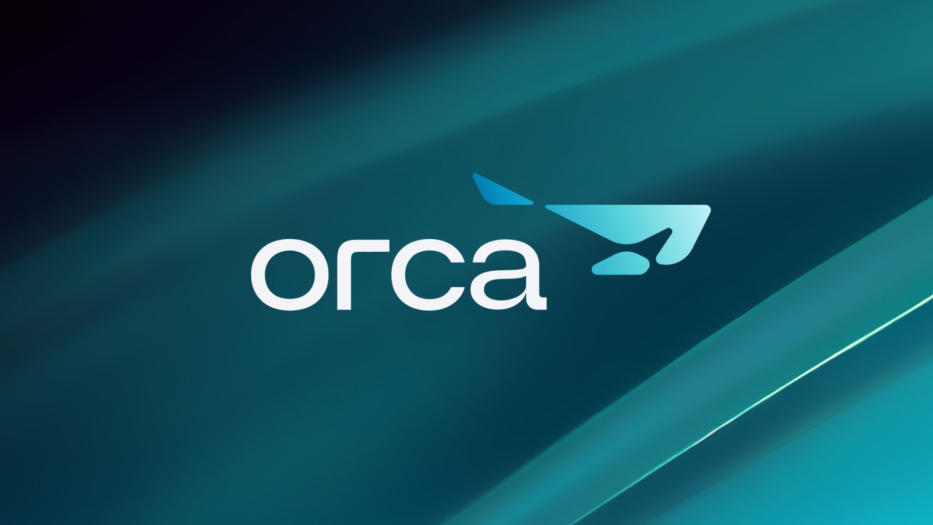 Orca Logo by Ebbon Group
