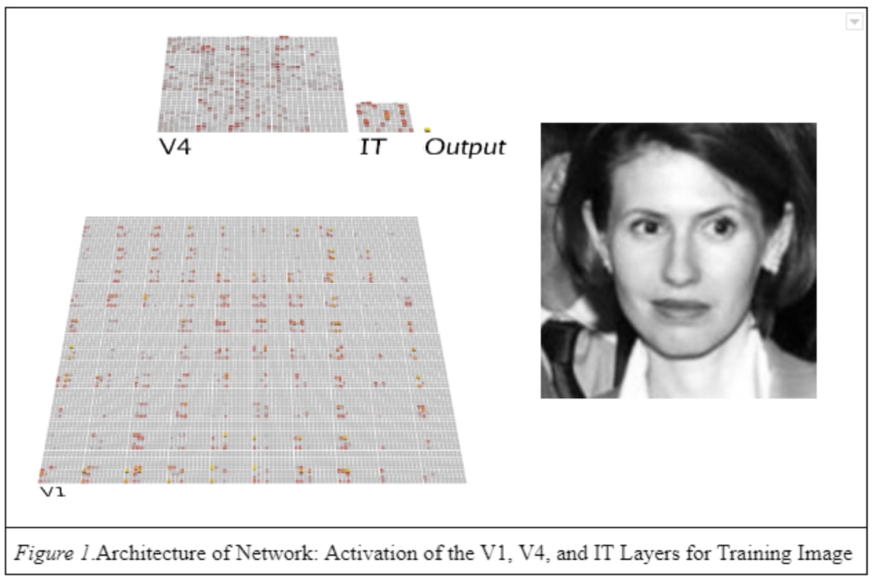 Screenshot of a web application