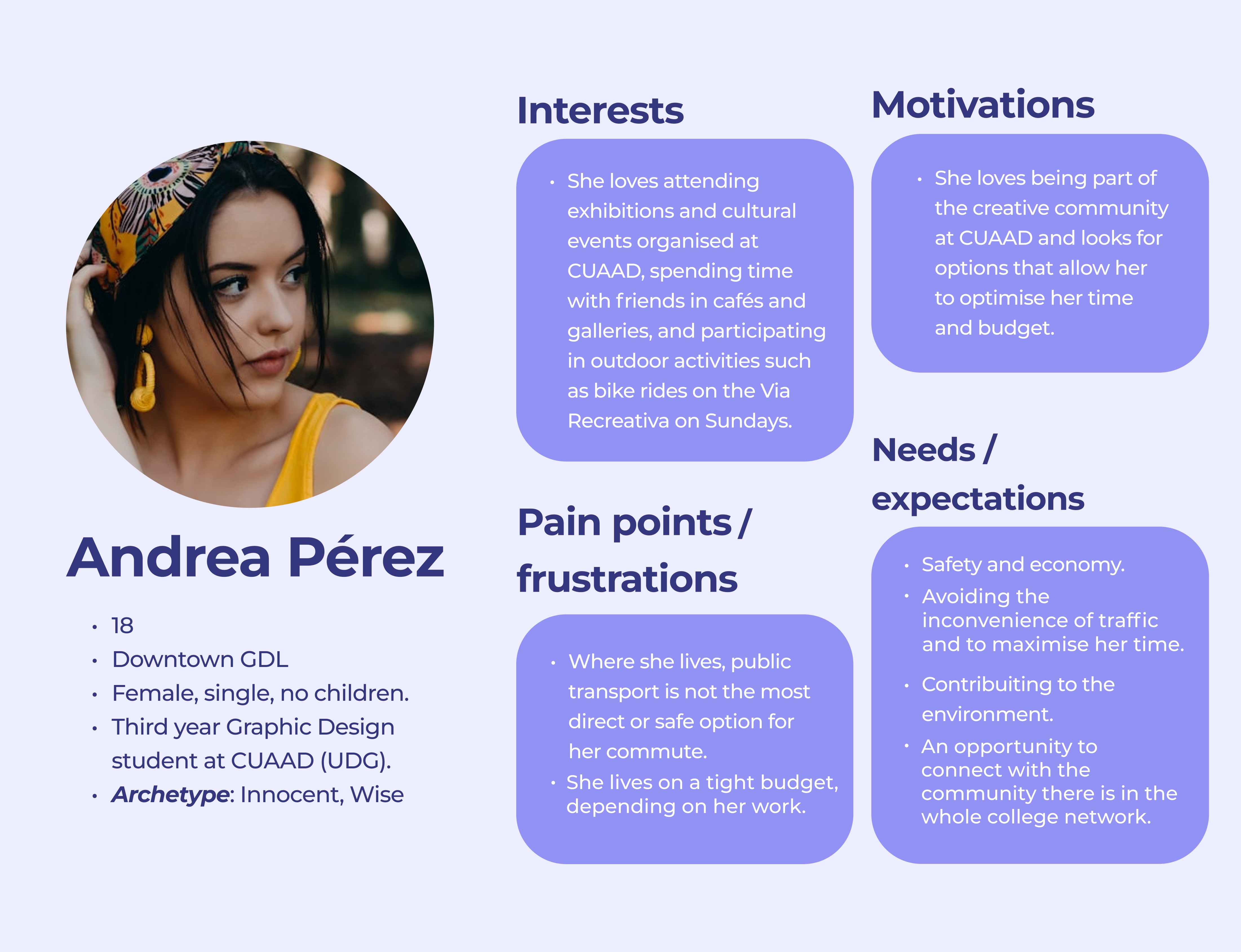 user persona passenger