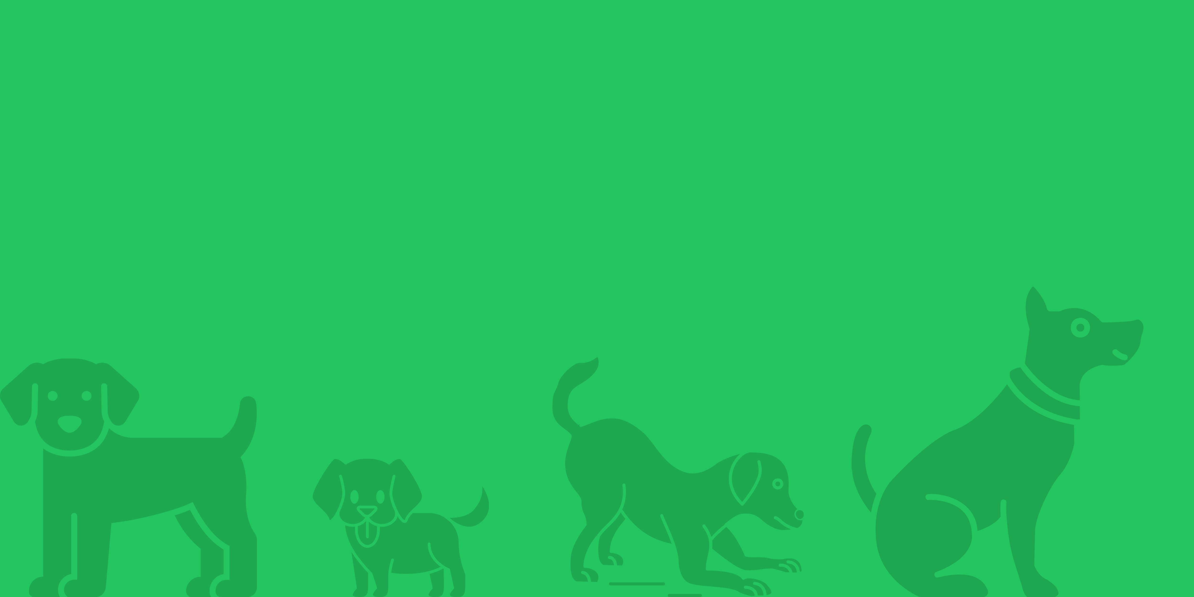 brand background image