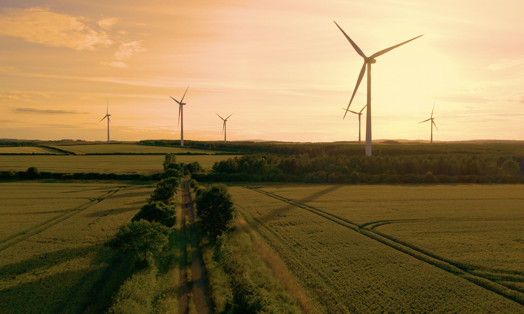 Landscape with wind turbines