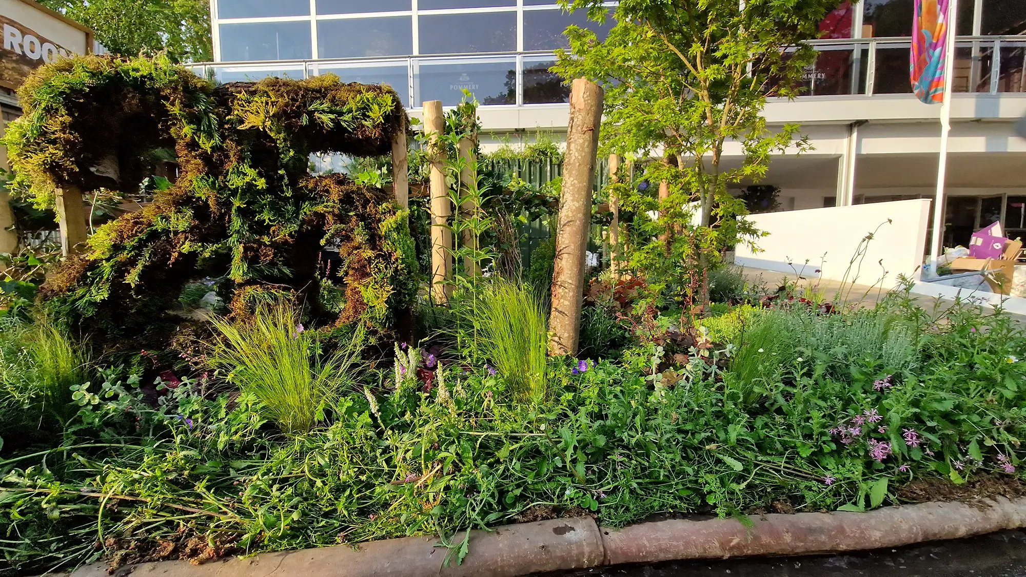 A lush garden with greenery, a wooden structure, and a building in the background under bright sunlight.