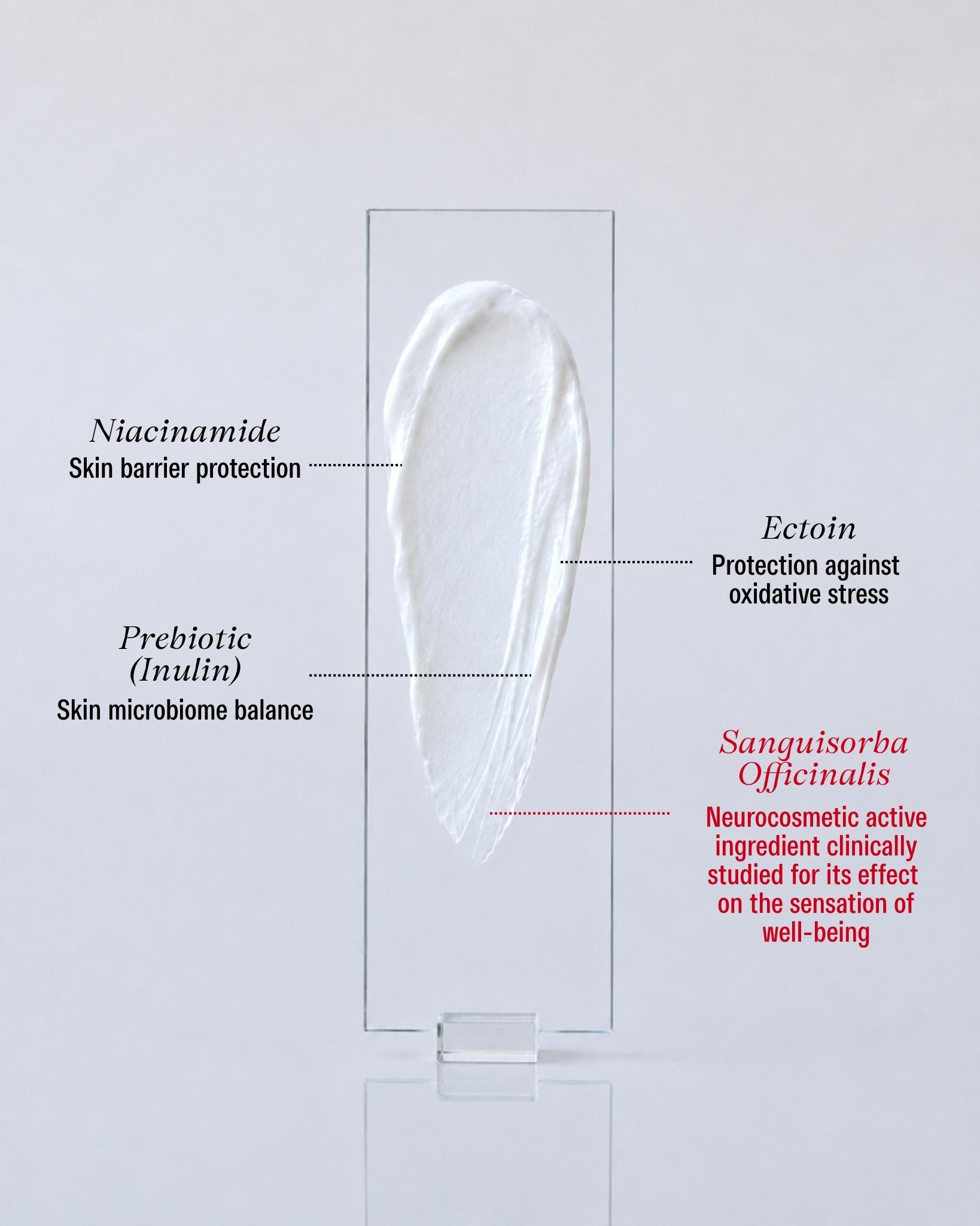 composition ingredients for Pômesse Paris care