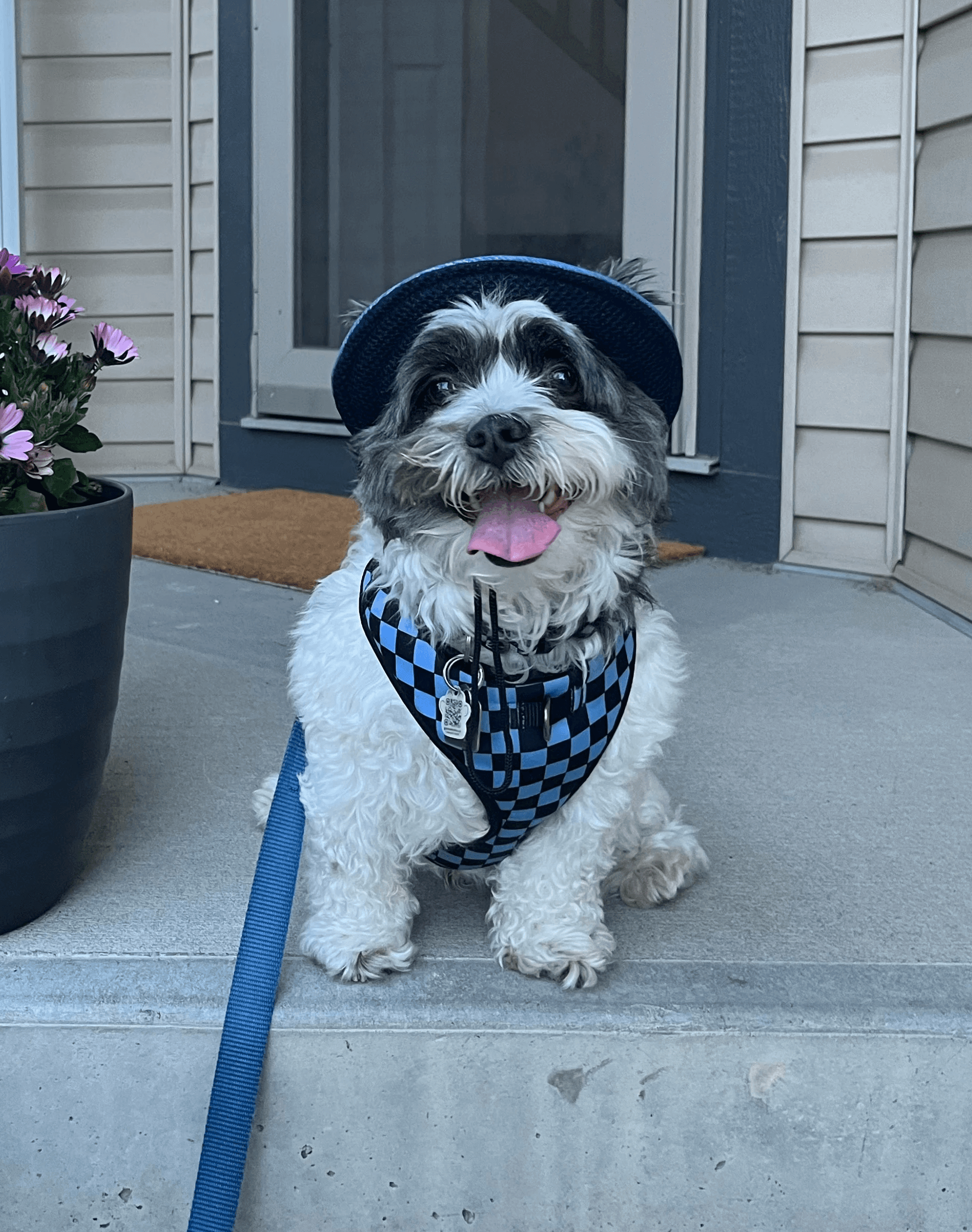 a building with persony windows
