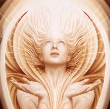 pink flowers on body of water