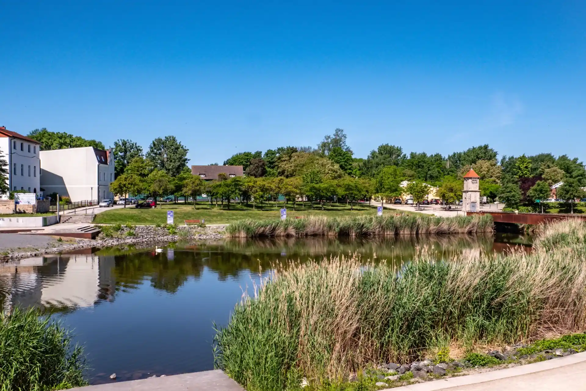 A serene view of a pond surrounded by lush greenery and bright blue sky, with a path beside it.