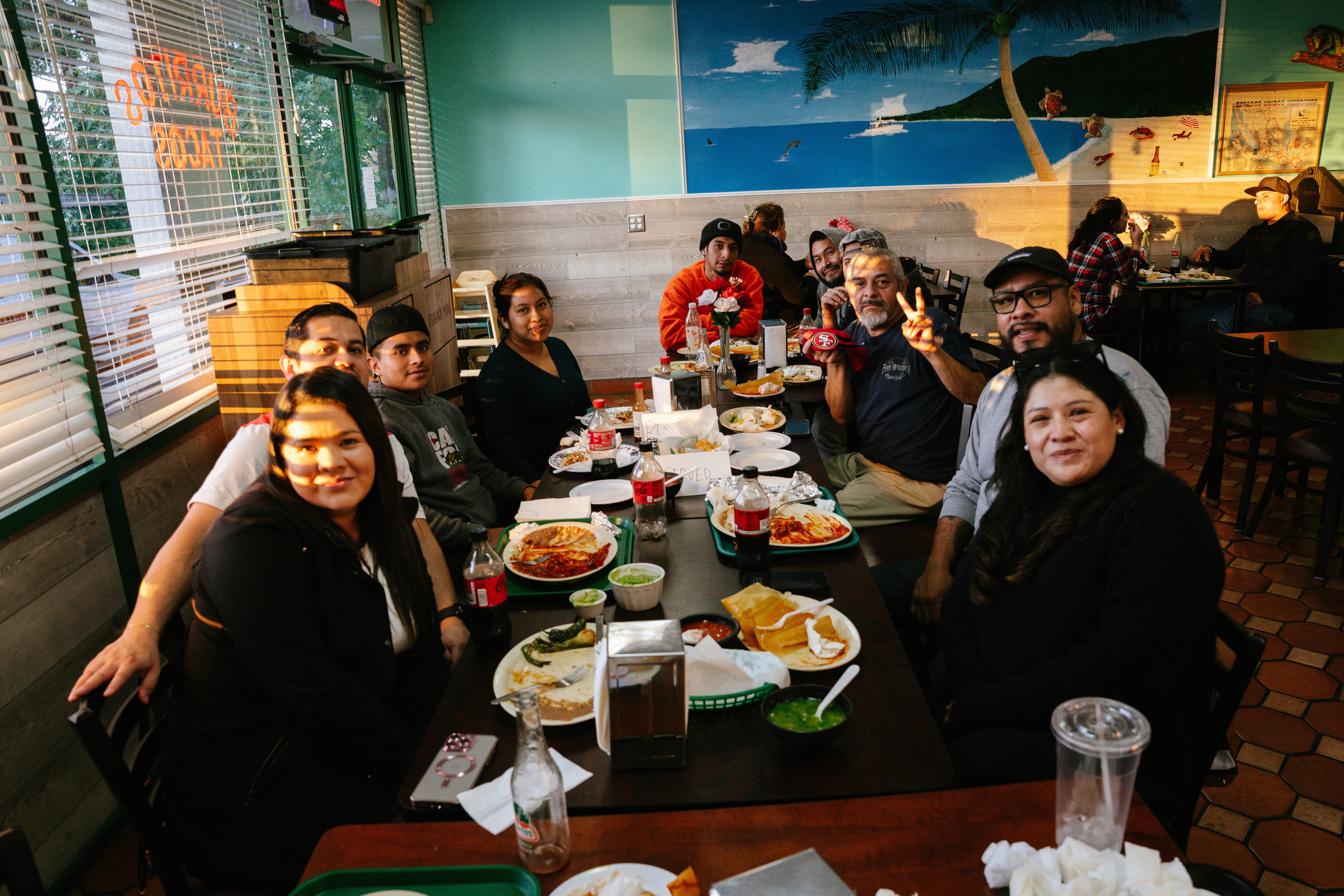 person sitting on grass and using phone