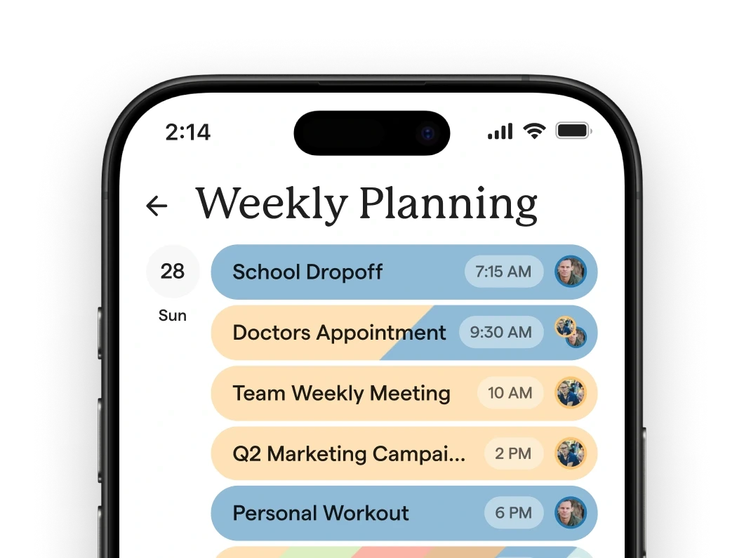 Skylight Assistant weekly planning session UI