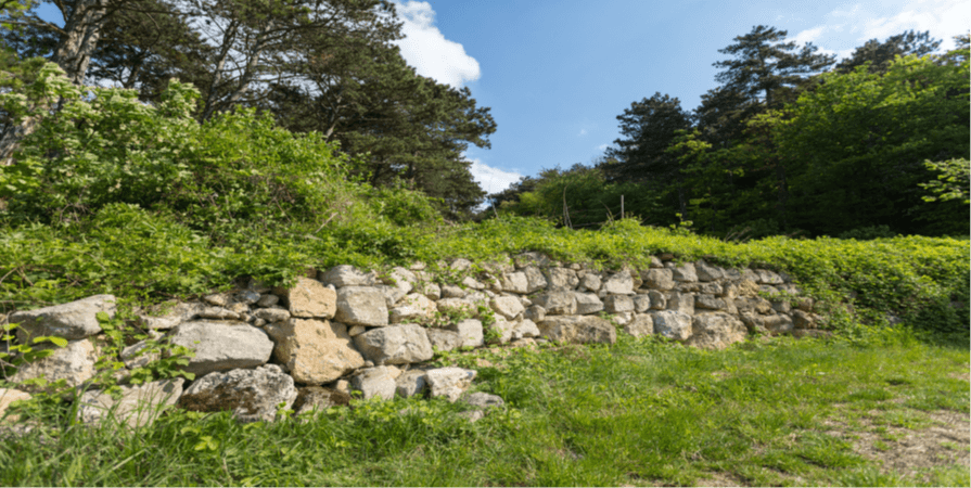 Führung Trockensteinmauer Foto von BPWW/M. Graf