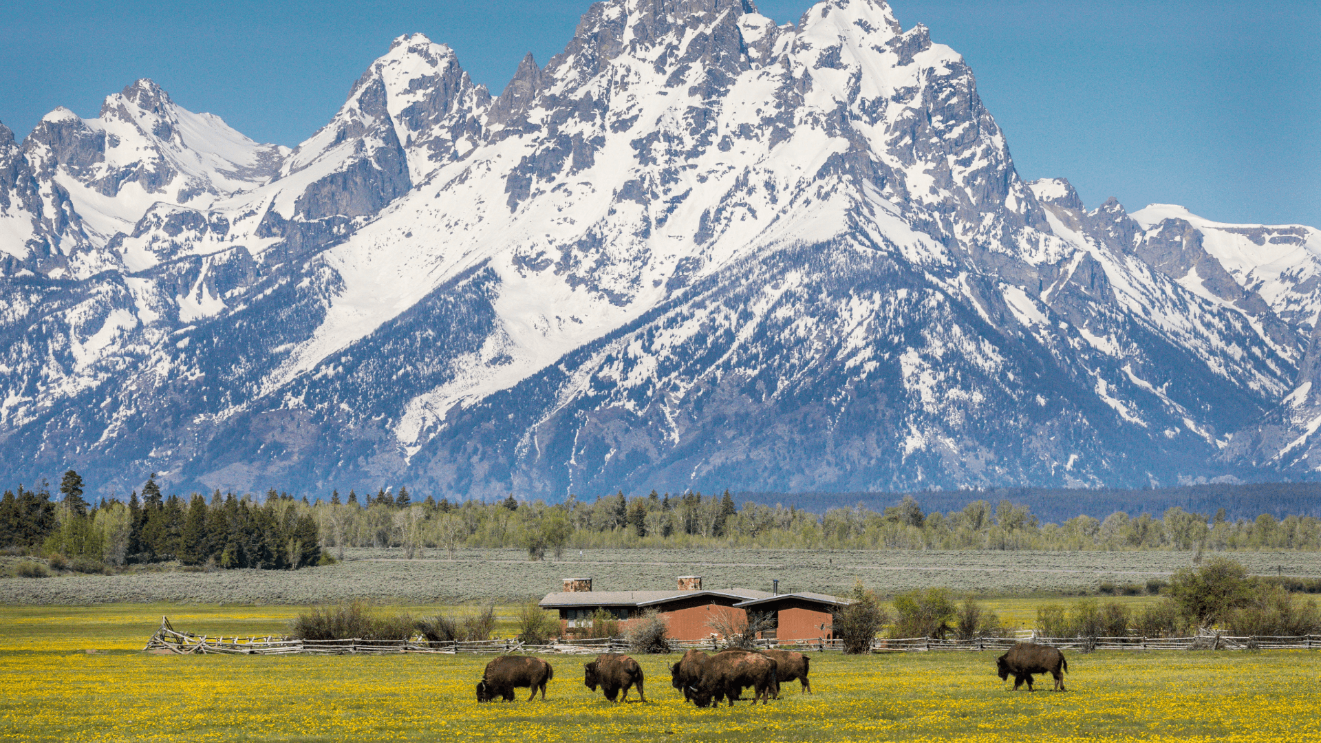 Teton mountain range from Jackson Hole valley