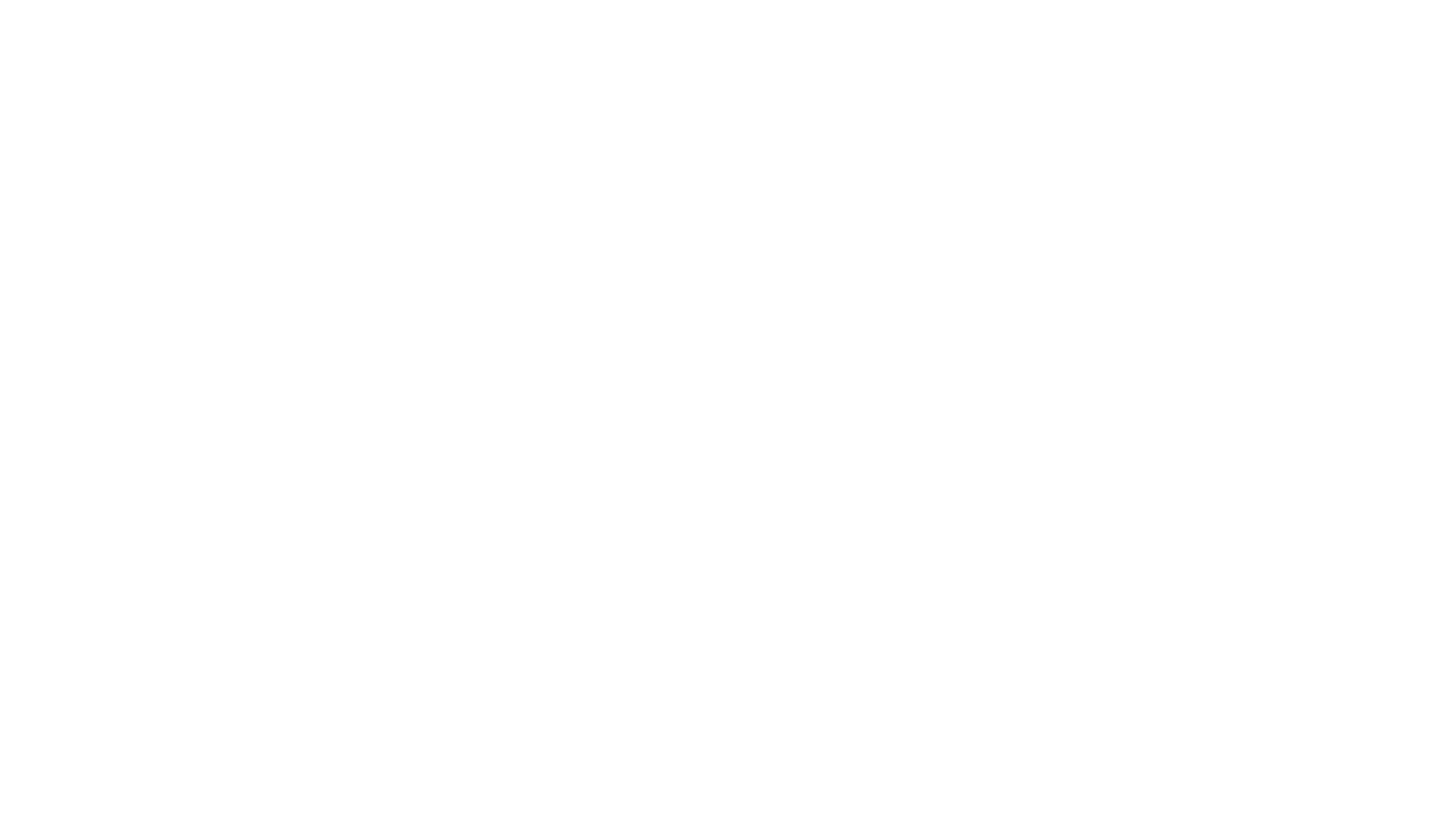 A white logo featuring the text "ipa NORDIC" with a sleek, modern design