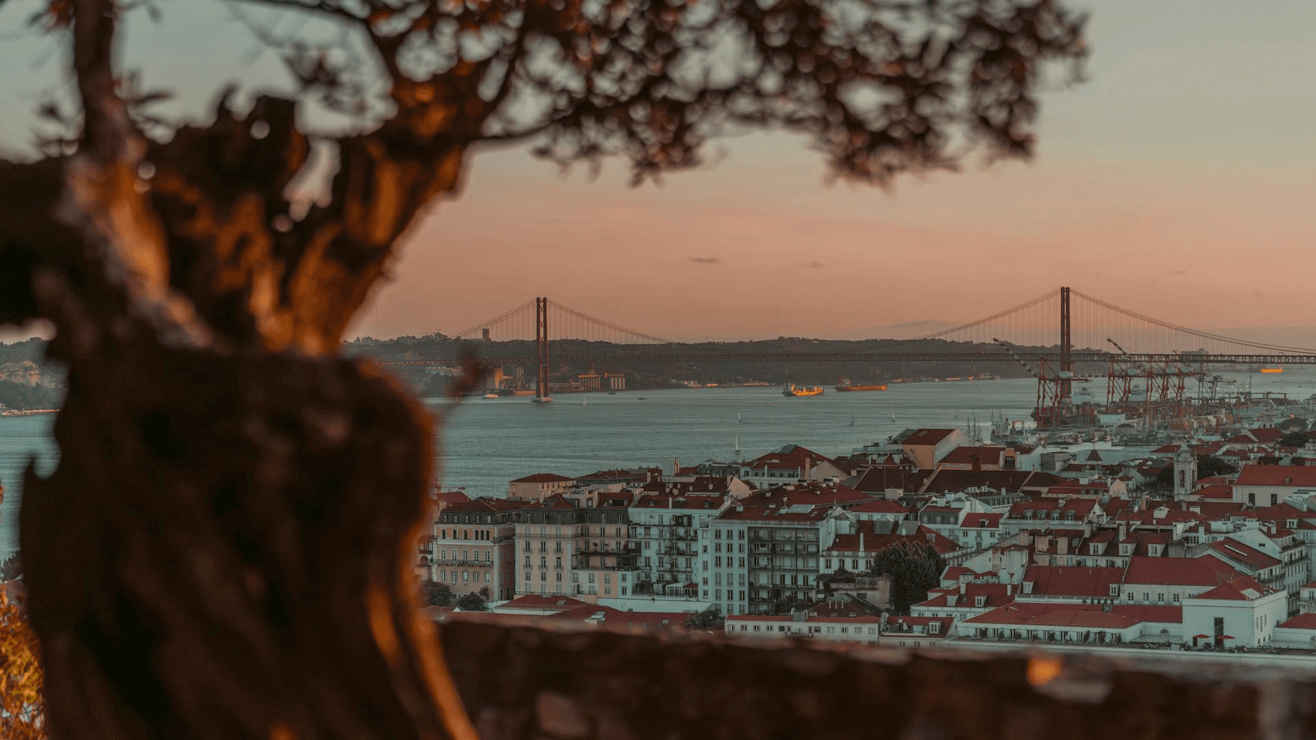 Lisbon Viewpoints
