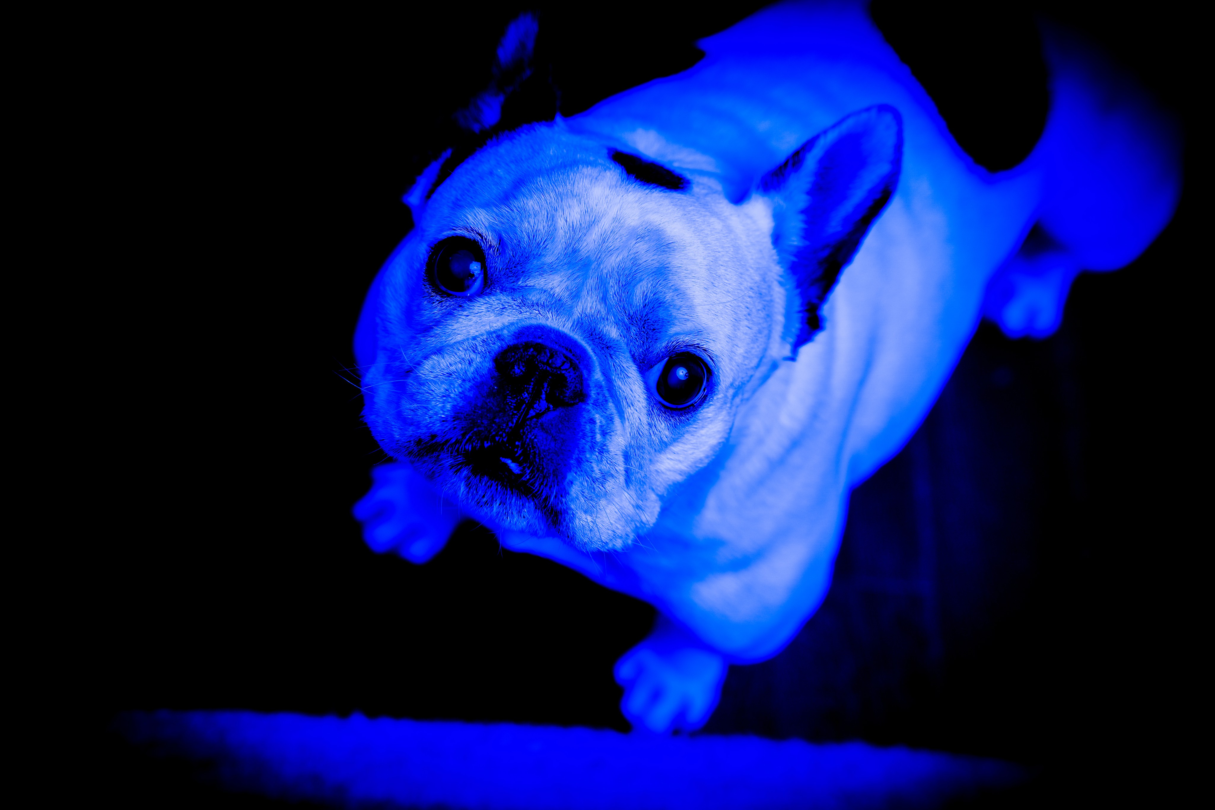 A young woman with long hair smiles while standing against a green backdrop, wearing a casual dark sweater.