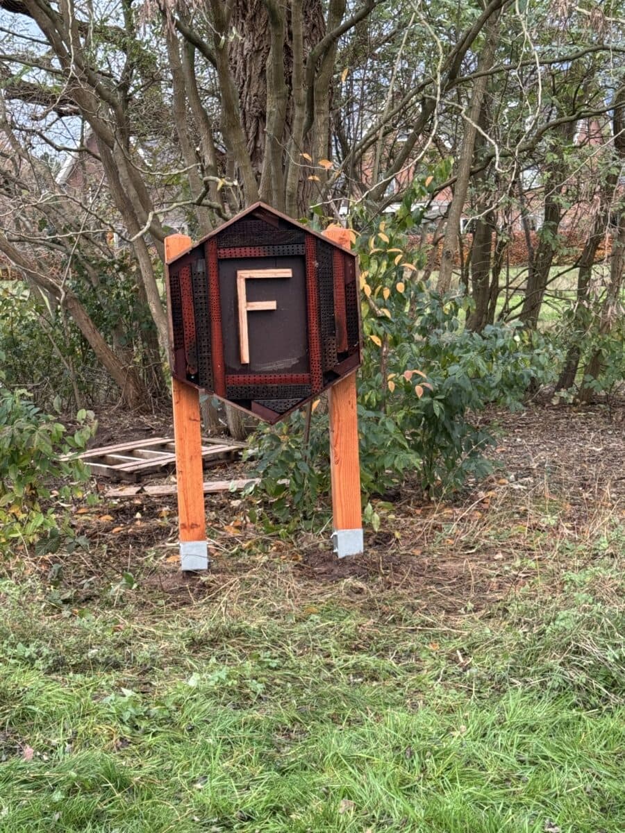 Insecten en nestgangen van dichtbij