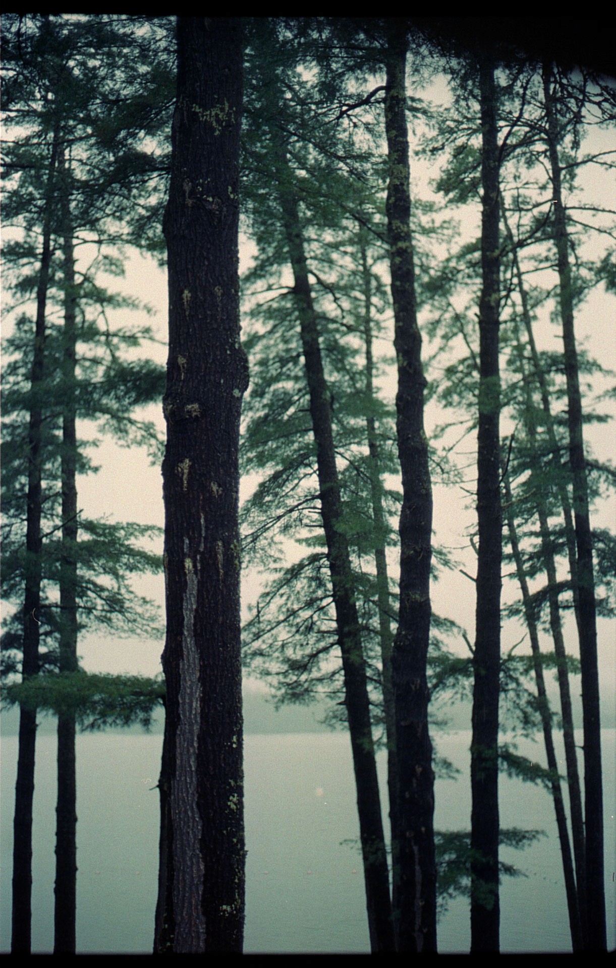 Untitled 2, 2025, 35mm