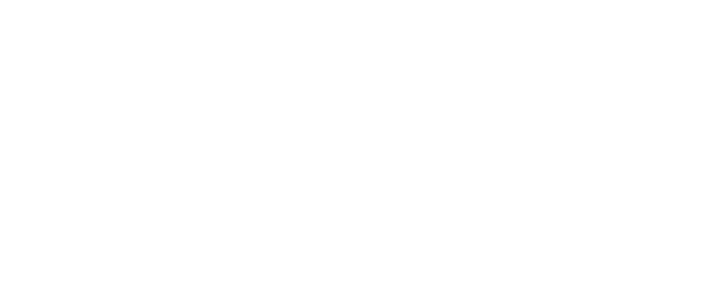 Nice logo