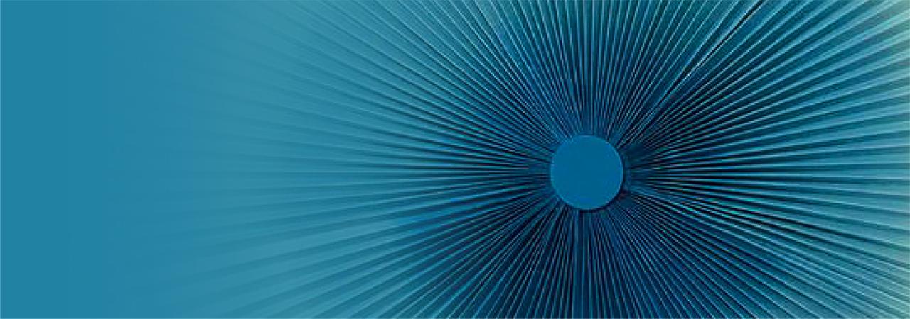 A fast black sports car races down the highway.