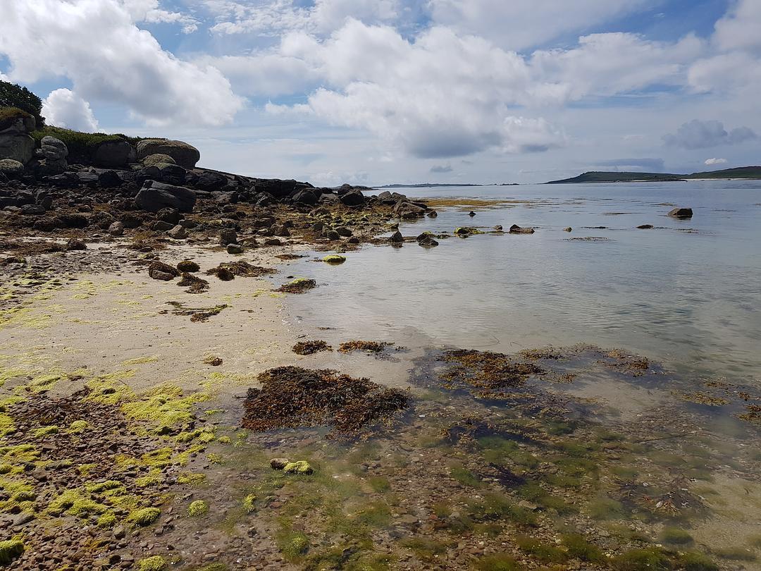 a black and white cat laying on top of a white wall